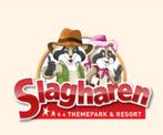 6 tickets voor pretpark slagharen, Tickets en Kaartjes, Drie personen of meer