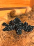 Gehaakte knuffel mini-octopus, Ophalen, Nieuw, Haken, Wol of Garen