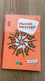 Rinze van der Lei - Muziek Meester!, Rinze van der Lei; Lieuwe Noordam; Frans Haverkort, Ophalen of Verzenden, Zo goed als nieuw