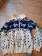 Retro Noorse trui vest - Mt M, HIJ, Ophalen of Verzenden, Gedragen, Maat 38/40 (M)