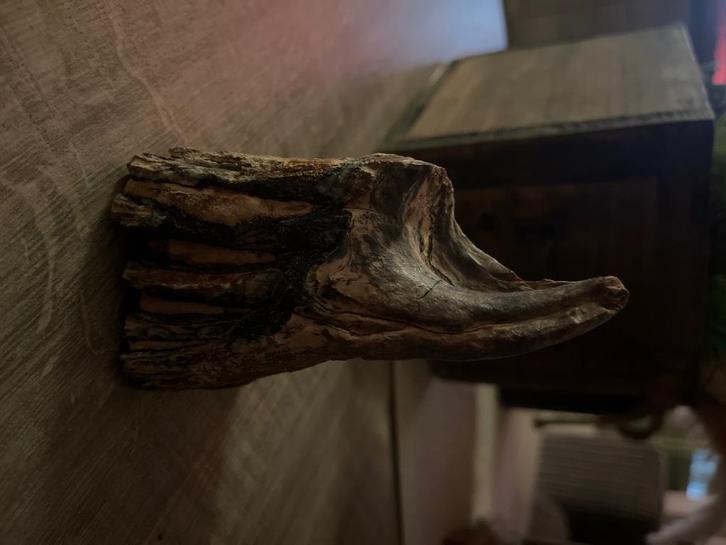 Mammoet tand, Verzamelen, Mineralen en Fossielen, Fossiel, Ophalen of Verzenden