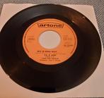 Topper piraat op Artone label. Lia & Adri. Als je eens wist, Ophalen of Verzenden, Zo goed als nieuw, Overige formaten, Levenslied of Smartlap
