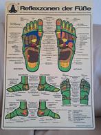 voetreflexzonen plastiek plaat, Boeken, Atlassen en Landkaarten, Ophalen of Verzenden, 2000 tot heden, Overige typen