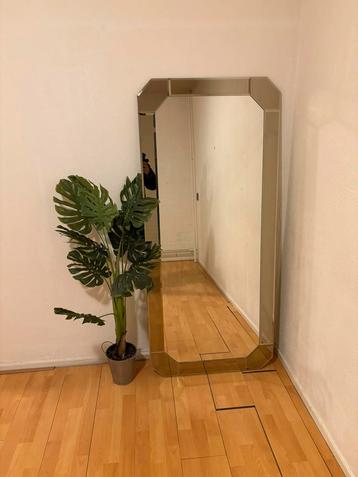 Spiegel voor woonkamer / slaapkamer:70 x 155