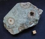 Echinosphaerites - kristalappels, Ophalen of Verzenden, Fossiel