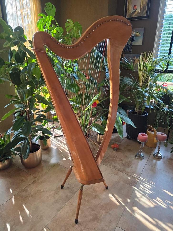 Aoyama harp, leuke beginners harp., Muziek en Instrumenten, Snaarinstrumenten | Harpen, Gebruikt, Ophalen
