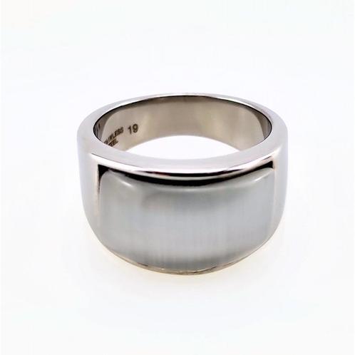 Roestvrij Stalen Ring met Grijswitte Opaal RVS - Dames Heren, Sieraden, Tassen en Uiterlijk, Ringen, Nieuw, Dame of Heer, 17 tot 18