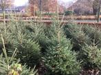 Kerstbomen, Tuin en Terras, Ophalen