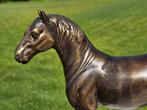 FRIES / PAARD / BRONZEN BEELD/ 21 CM HOOG, Ophalen of Verzenden, Nieuw, Paard, Beeldje of Figuurtje