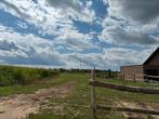Paarden stalling te huur, Dieren en Toebehoren, Stalling en Weidegang, Stalling