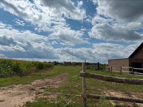 Paarden stalling te huur, Dieren en Toebehoren, Stalling en Weidegang, Stalling
