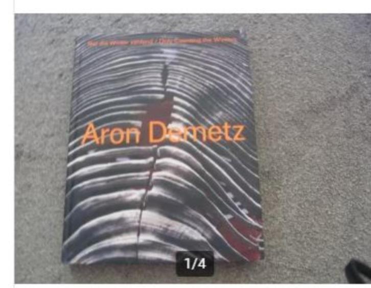 Aron Demetz Only counting the winters, Boeken, Kunst en Cultuur | Beeldend, Zo goed als nieuw, Ophalen of Verzenden