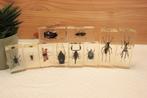 Taxidermie - Opgezette Insecten in epoxy, Ophalen of Verzenden, Gebruikt, Insect, Opgezet dier