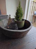 Olijfbak, Ophalen, Gebruikt, Rond