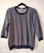 Peter Hahn Trui Maat L 42 100% katoen gratis verzenden, Maat 38/40 (M), Zo goed als nieuw, Peter Hahn, Verzenden