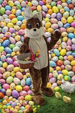 Je kan mijn in huren voor de Pasen, Ophalen of Verzenden, Zo goed als nieuw