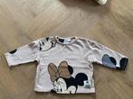 Zara Disney sweater maat 86, Kinderen en Baby's, Babykleding | Maat 86, Ophalen of Verzenden, Gebruikt, Meisje, Truitje of Vestje