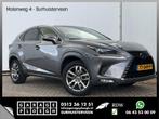 Lexus NX 300H Business Line AWD Leer Carplay Stoelverw Cam K, Auto's, Lexus, Automaat, Regensensor, Gebruikt, Euro 6