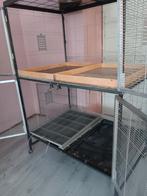 Vogelvoillere, Dieren en Toebehoren, Ophalen of Verzenden, 110 cm of meer, Kooi, 90 cm of meer