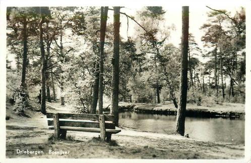 (388-399-005) Driebergen-Rijsenburg Bosvijver, Verzamelen, Ansichtkaarten | Nederland, Utrecht, Verzenden