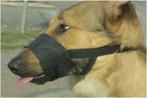 Beeztees Comfort Muilband hond M 15 - 20cm nw. in verpakking, Nieuw, Ophalen
