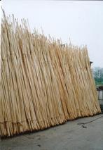 Geschild hout ter decoratie. Diverse maten., Ophalen, Nieuw