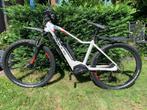 Elektrische mountainbike, Gebruikt, Hardtail, Dames, Ophalen
