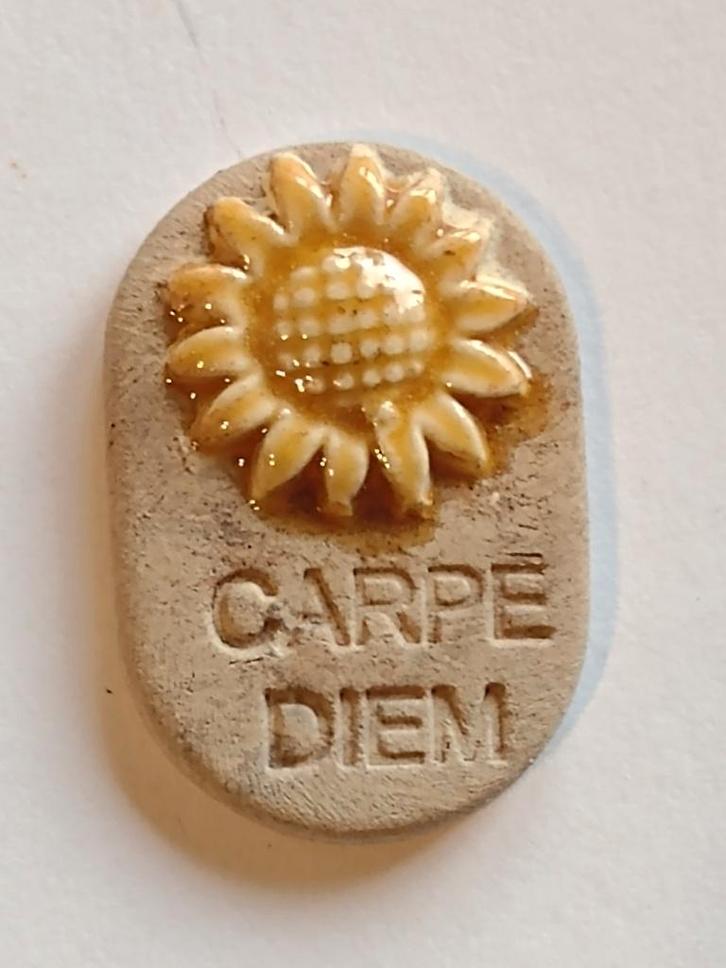 ovaal ornament tekst Carpe Diem en zonnebloem / Fennicole, Verzamelen, Poppenhuizen en Toebehoren, Nieuw, Decoratie, Ophalen