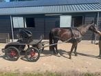 Gezocht enkelspan wagen, Zo goed als nieuw, Marathonwagen