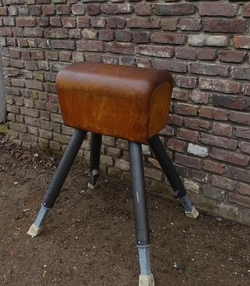 oude springbok turnbok uit gymzaal van een school beschikbaar voor biedingen
