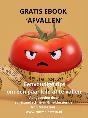 Afvallen – Overgewicht (gratis eBook). De eerste 5 kilo! beschikbaar voor biedingen