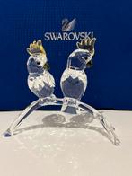 Swarovski kaketoes, Verzamelen, Swarovski, Ophalen of Verzenden, Zo goed als nieuw, Figuurtje