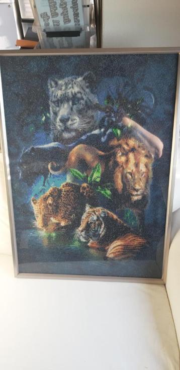 DIamond painting met lijst beschikbaar voor biedingen