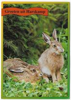 Harskamp Gelopen Ansichtkaart ( B6241 ), Ophalen of Verzenden, 1980 tot heden, Gelopen