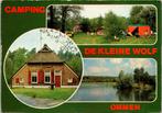 Ommen - Camping De Kleine Wolf (1981), Verzenden, 1980 tot heden, Gelopen, Overijssel
