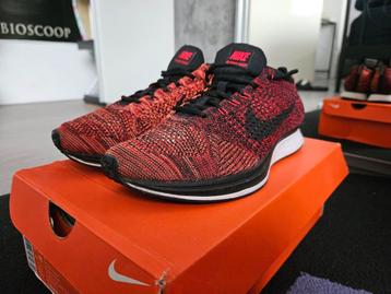 Nike Flyknit racer 42.5 "University Red/Black" beschikbaar voor biedingen