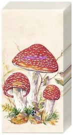 Papieren zakdoekjes Paddestoelen, Ophalen of Verzenden, Nieuw, Overige materialen, Minder dan 25 cm
