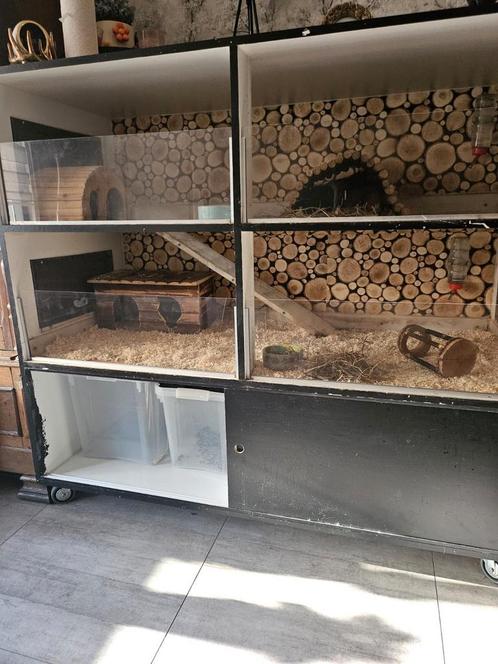 Caviaflat 1.40x0.65 1.30 hoog, Dieren en Toebehoren, Knaagdieren en Konijnen | Hokken en Kooien, Zo goed als nieuw, Hok, 90 cm of meer
