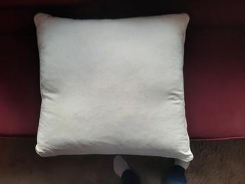 Kussen 60 x 60 cm met hoes beschikbaar voor biedingen