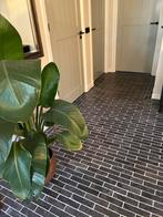 Natuursteen waalformaat en look 1,6M2 wc, Ophalen, Keramiek, Zo goed als nieuw, Minder dan 5 m²