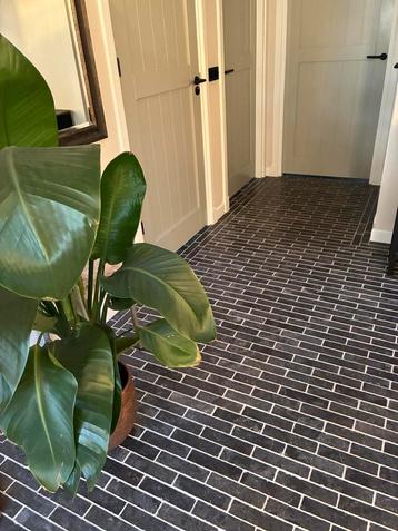 Natuursteen waalformaat en look 1,6M2 wc beschikbaar voor biedingen