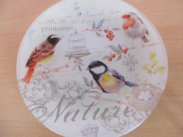 Dora Papis design. Glazen schaaltje - bordje. 15 cm, Huis en Inrichting, Keuken | Servies, Nieuw, Bord(en), Overige stijlen, Glas