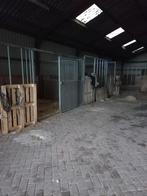 Paardenstalling en weidegang, Dieren en Toebehoren, Stalling en Weidegang, Weidegang, 2 of 3 paarden of pony's
