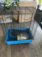 Hamsterkooi inc huisje, wiel en drinkfles, Kooi, Gebruikt, Minder dan 75 cm, Hamster