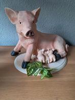 Mooi beeld van een varken met biggen, Ophalen of Verzenden, Nieuw, Dier