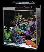 BlueMarine Reef 90 liter (accessoires inbegrepen), Ophalen, Zo goed als nieuw, Leeg aquarium