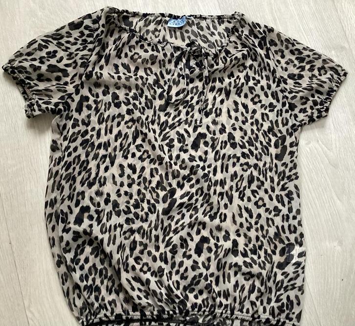 Luipaardprint Blouse Maat M van John Cabot, Kleding | Dames, Blouses en Tunieken, Zo goed als nieuw, Maat 38/40 (M), Beige, Ophalen of Verzenden