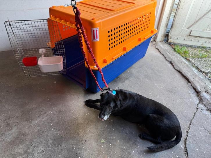 Dog travel crate PP-90, Dieren en Toebehoren, Hondenbenches, Zo goed als nieuw, Ophalen