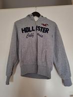 Grijs Hollister California vest maat L, Maat 52/54 (L), Ophalen of Verzenden, Grijs, Gedragen