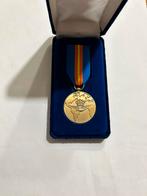 Origineel luchtmachtmedaille in doos, Postzegels en Munten, Penningen en Medailles, Ophalen of Verzenden, Overige materialen